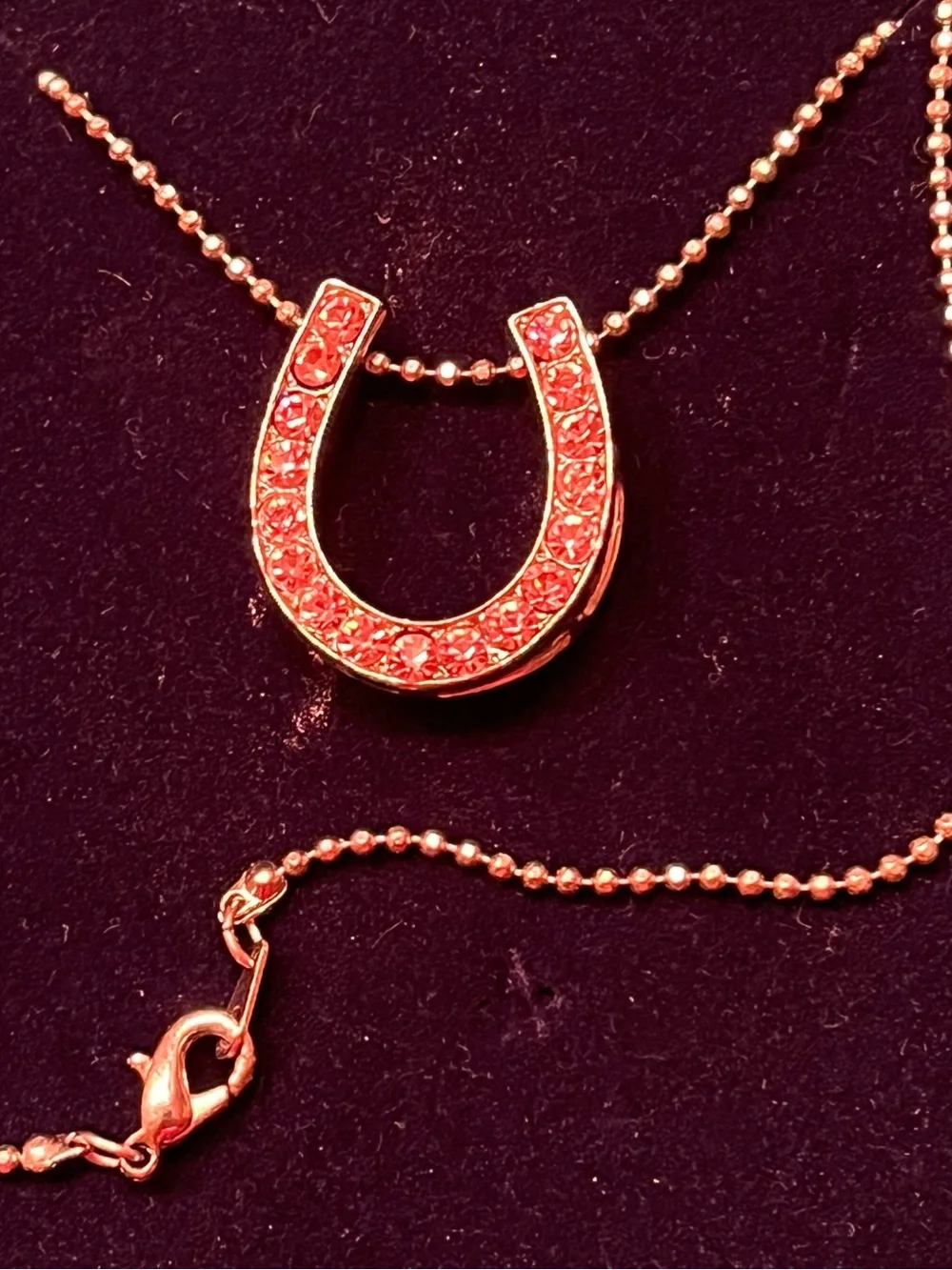 N/A delicate horseshoe